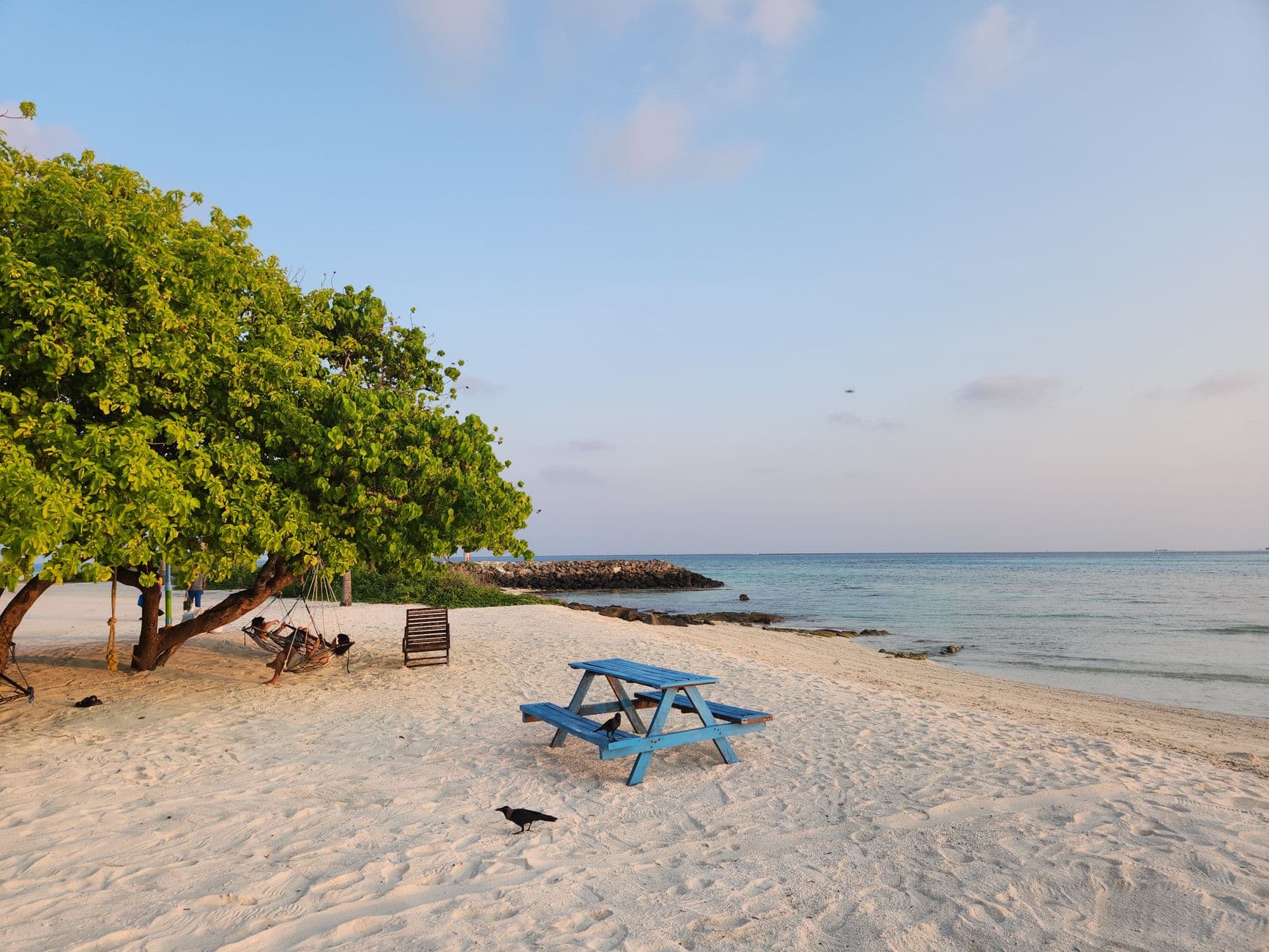 Beach and palm trees on Maafushi island